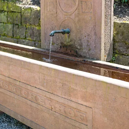 Fuchsmichelhof 2 Appartamento *